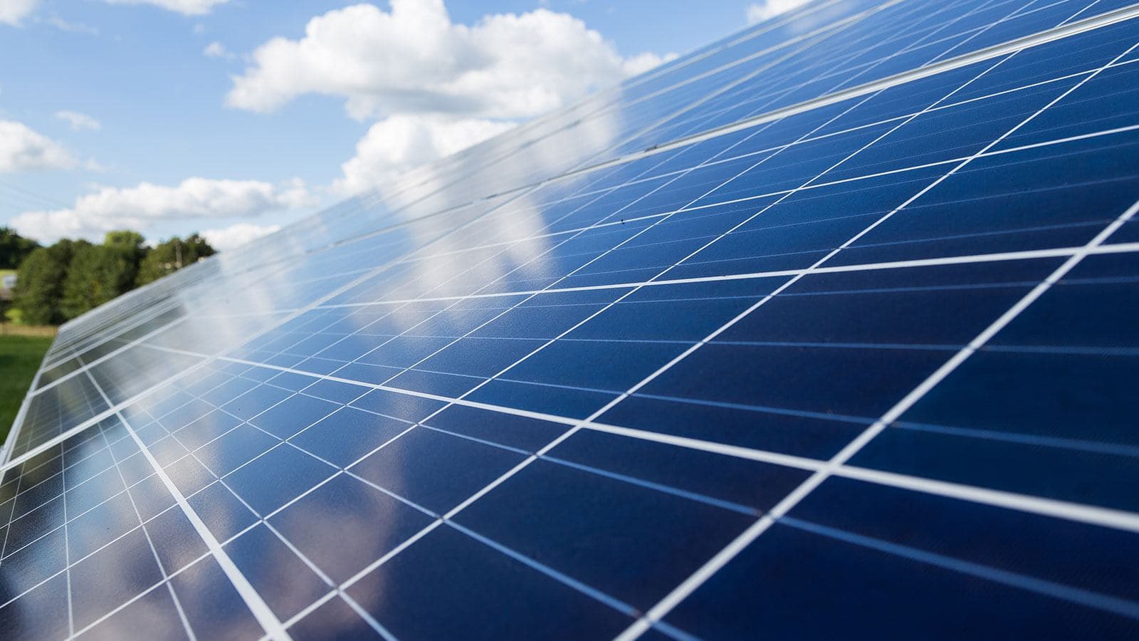Solar panels in a field